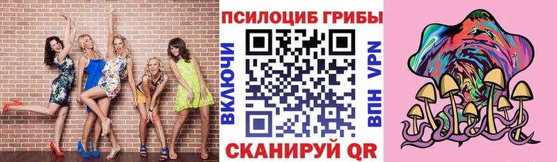 как найти наркотики  Белокуриха  Галлюциногенные грибы Psilocybe 